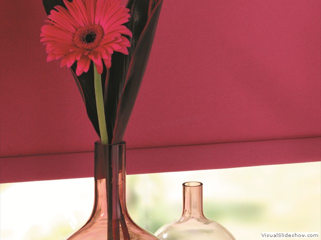 GUARDIAN_MULBERRY_C1